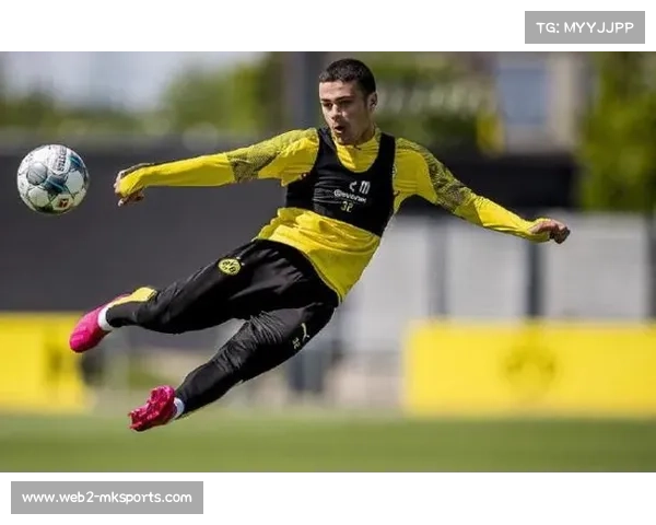 多特蒙德官方确认,核心中场因轻伤缺席周末联赛 多特蒙德官方确认,核心中场因轻伤缺席周末联赛